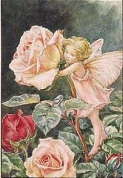 Maggio... nel mese delle rose