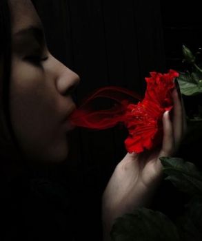 Arriver� il sogno