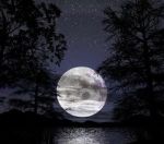 Cupa notte