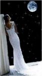 A sfiorar le stelle