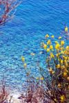 Isola  