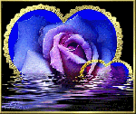 Una rosa nel cuore
