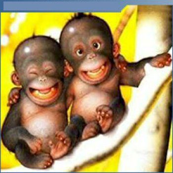 Il volo