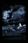Stelle