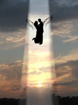 Angeli