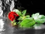L�ultima alba