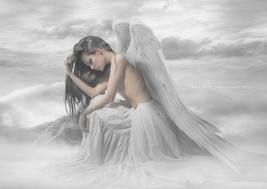 Ho sfiorato l�Anima  