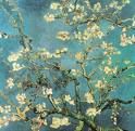 Rami di mandorlo in fiore