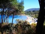 Con il naso all'ins�