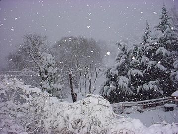 Non Aver Fretta  