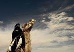 Incontro nel deserto