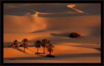 Cielo Africano