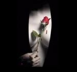 Ti ruber� l'anima