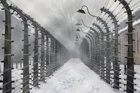 Gelido inverno
