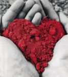 Folle Cuore