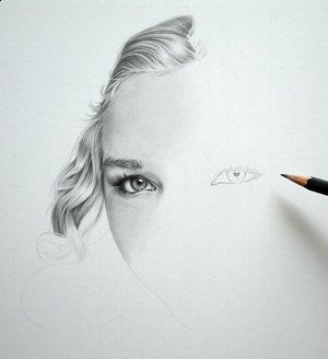 Disegno