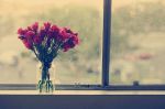 Ti chiamer� amore