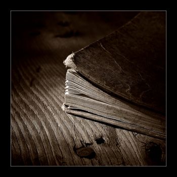 Ci� che � trascorso