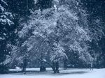 Ogni giorno � Natale