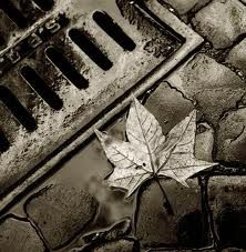Autunno  