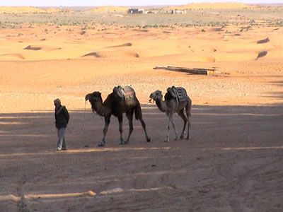 Africa