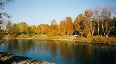 Malinconico autunno
