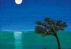 Notte