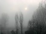 Appare un pallido sole