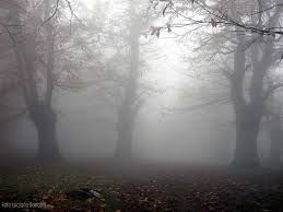 Accarezzo la terra d�ottobre