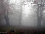 Accarezzo la terra d�ottobre