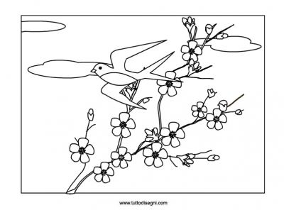Tanka 13