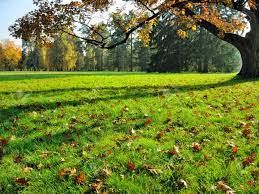 Colori d�autunno
