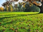 Colori d�autunno