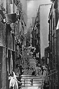 Camorra