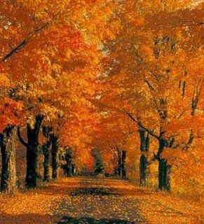 Autunno d'amore