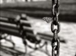 N� VETMI Nella solitudine