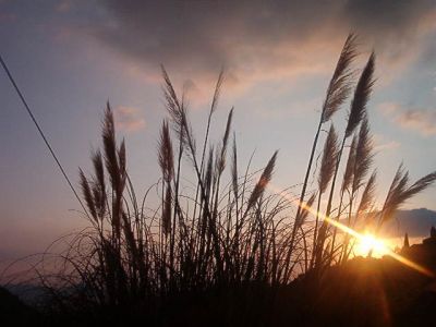 Raggio di Sole
