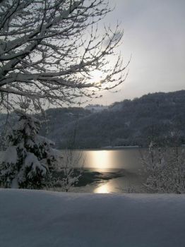 La primavera che arriver�
