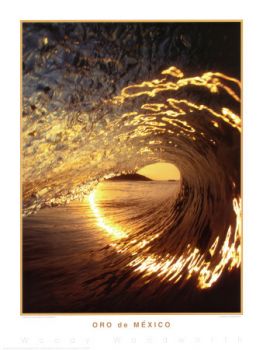 Sogno e realt�