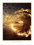 Sogno e realt�