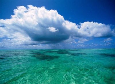 Onde