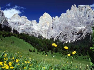 Armonia dono di Dio  
