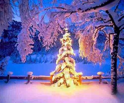 E' arrivato il Natale