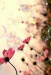 Nuova felicit�