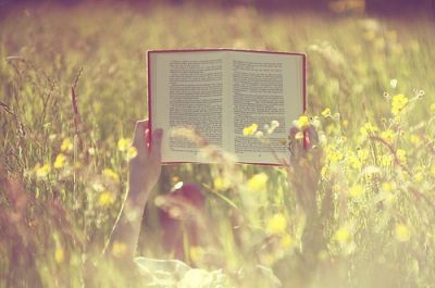 Soave � la lettura