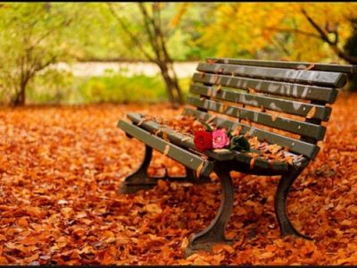 Autunno, profumo d�amore