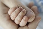 E� nata una vita