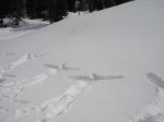 Nevicata