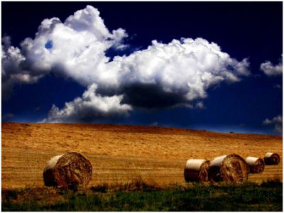 Ciclo di poesie sulla libert�