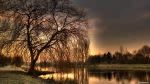 Dove andr� a riposare il giorno